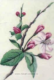30. Crab Apple (Wilde appel) (10)