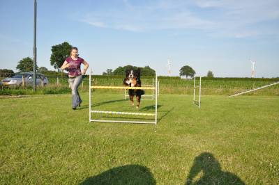 Behendigheid 2-002