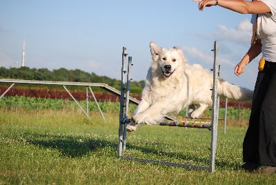 DSC_3243_20100705_195807