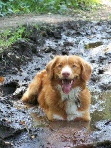 Paco in de modder-001